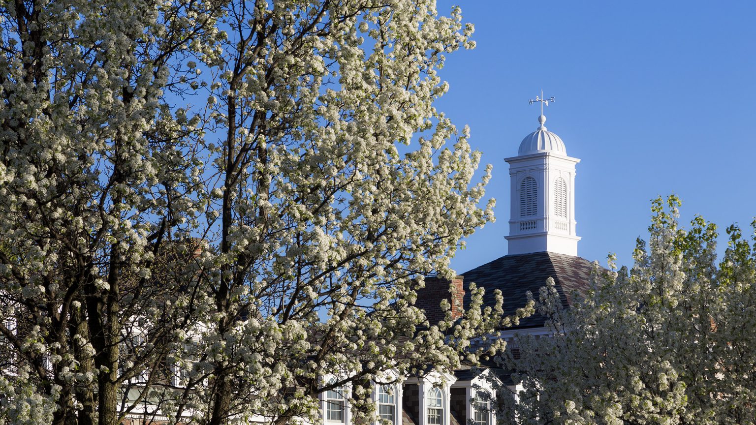 The words 'Renew Rensselaer' in white on a cherry red background